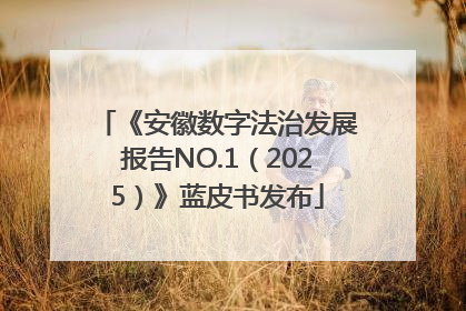 《安徽数字法治发展报告NO.1（2025）》蓝皮书发布