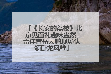 《长安的荔枝》北京见面礼趣味盎然 雷佳音岳云鹏现场认领卧龙凤雏