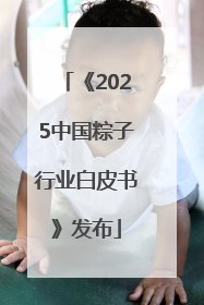 《2025中国粽子行业白皮书》发布