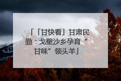 「甘快看」甘肃民勤：戈壁沙乡孕育“甘味”领头羊