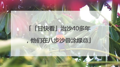 「甘快看」治沙40多年，他们在八步沙叠涂绿意