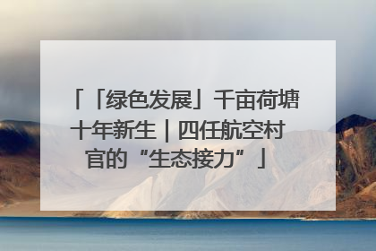 「绿色发展」千亩荷塘 十年新生｜四任航空村官的“生态接力”