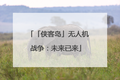 「侠客岛」无人机战争：未来已来