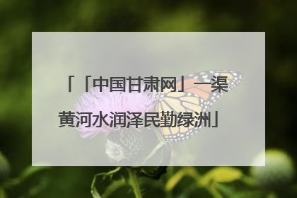 「中国甘肃网」一渠黄河水润泽民勤绿洲
