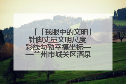 「我眼中的文明」针脚丈量文明尺度 彩线勾勒幸福坐标——兰州市城关区酒泉路街道办事处