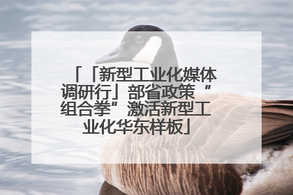 「新型工业化媒体调研行」部省政策“组合拳”激活新型工业化华东样板