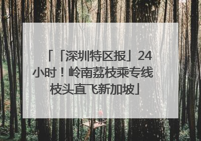 「深圳特区报」24小时！岭南荔枝乘专线 枝头直飞新加坡