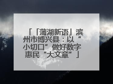 「蒲湖新语」滨州市博兴县：以“小切口”做好数字惠民“大文章”