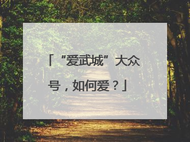 “爱武城”大众号，如何爱？
