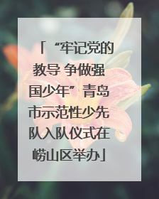 “牢记党的教导 争做强国少年”青岛市示范性少先队入队仪式在崂山区举办