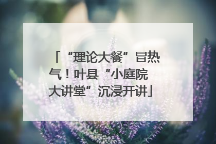 “理论大餐”冒热气！叶县“小庭院 大讲堂”沉浸开讲