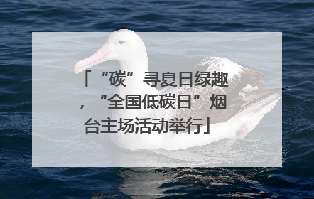 “碳”寻夏日绿趣，“全国低碳日”烟台主场活动举行