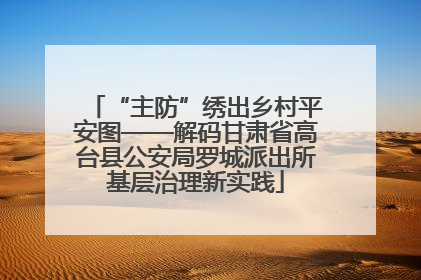 “主防”绣出乡村平安图——解码甘肃省高台县公安局罗城派出所基层治理新实践
