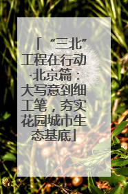 “三北”工程在行动·北京篇：大写意到细工笔，夯实花园城市生态基底