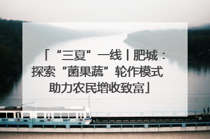 “三夏”一线丨肥城：探索“菌果蔬”轮作模式 助力农民增收致富