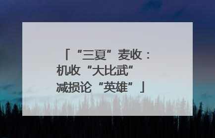 “三夏”麦收：机收“大比武” 减损论“英雄”