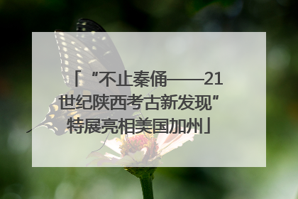 “不止秦俑——21世纪陕西考古新发现”特展亮相美国加州