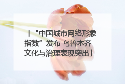 “中国城市网络形象指数”发布 乌鲁木齐文化与治理表现突出