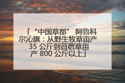 “中国草都” 阿鲁科尔沁旗：从野生牧草亩产 35 公斤到苜蓿草亩产 800 公斤以上