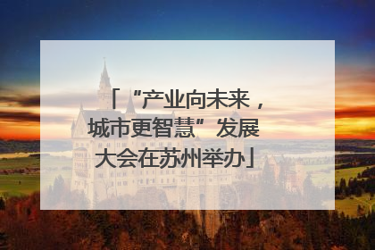 “产业向未来，城市更智慧”发展大会在苏州举办