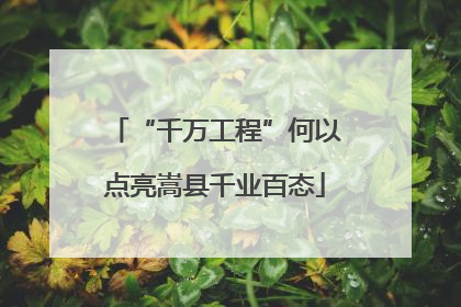 “千万工程”何以点亮嵩县千业百态