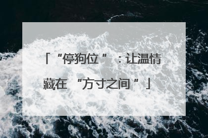 “停狗位 ”：让温情藏在 “方寸之间 ”
