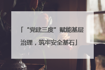 “党建三度”赋能基层治理，筑牢安全基石