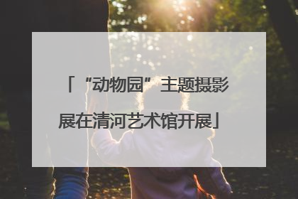 “动物园”主题摄影展在清河艺术馆开展