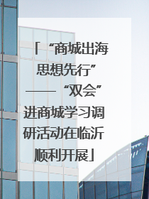 “商城出海 思想先行”——“双会”进商城学习调研活动在临沂顺利开展