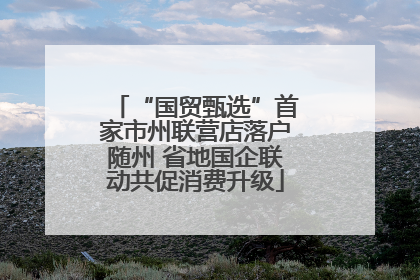 “国贸甄选”首家市州联营店落户随州 省地国企联动共促消费升级