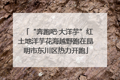 “奔跑吧·大洋芋”红土地洋芋花海越野跑在昆明市东川区热力开跑