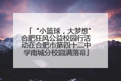 “小篮球，大梦想”合肥狂风公益校园行活动在合肥市第四十二中学南城分校圆满落幕