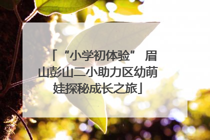 “小学初体验” 眉山彭山二小助力区幼萌娃探秘成长之旅