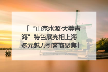 “山宗水源·大美青海”特色展亮相上海 多元魅力引客商聚焦