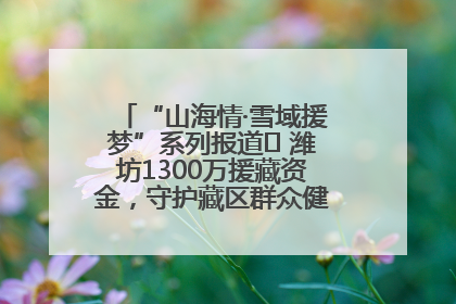“山海情·雪域援梦”系列报道⑪ 潍坊1300万援藏资金，守护藏区群众健康“最后一公里”