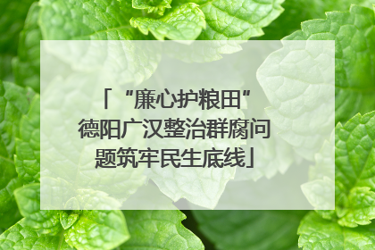 “廉心护粮田” 德阳广汉整治群腐问题筑牢民生底线