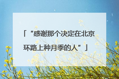 “感谢那个决定在北京环路上种月季的人”