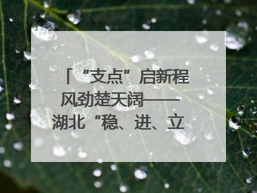 “支点”启新程 风劲楚天阔——湖北“稳、进、立、破”谱写“荆”彩篇章