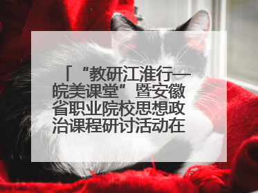 “教研江淮行—皖美课堂”暨安徽省职业院校思想政治课程研讨活动在芜湖高级职业技术学校举行