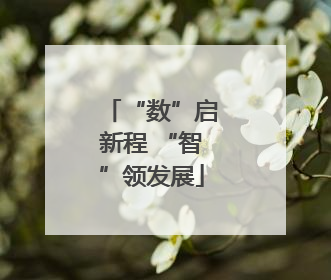 “数”启新程 “智”领发展