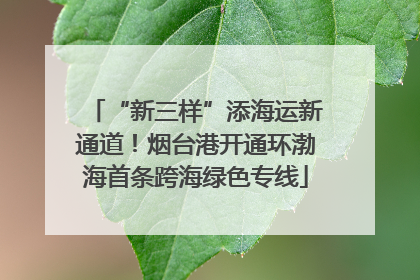 “新三样”添海运新通道！烟台港开通环渤海首条跨海绿色专线