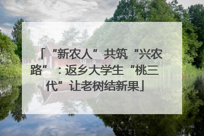 “新农人”共筑“兴农路”：返乡大学生“桃三代”让老树结新果