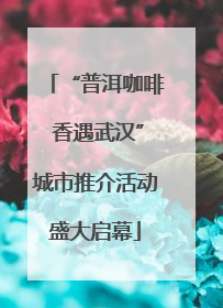 “普洱咖啡 香遇武汉”城市推介活动盛大启幕