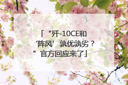 “歼-10CE和‘阵风’孰优孰劣？”官方回应来了