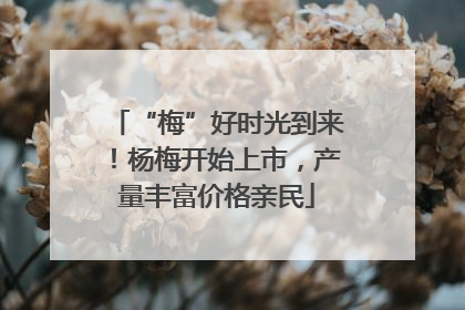 “梅”好时光到来！杨梅开始上市，产量丰富价格亲民