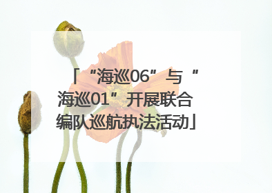 “海巡06”与“海巡01”开展联合编队巡航执法活动