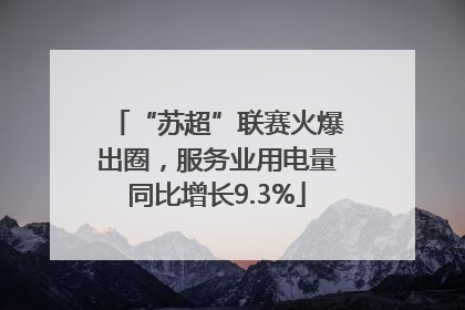 “苏超”联赛火爆出圈，服务业用电量同比增长9.3%