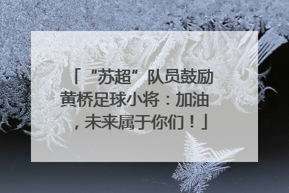“苏超”队员鼓励黄桥足球小将：加油，未来属于你们！