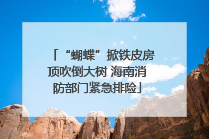 “蝴蝶”掀铁皮房顶吹倒大树 海南消防部门紧急排险