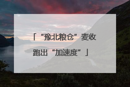 “豫北粮仓”麦收跑出“加速度”